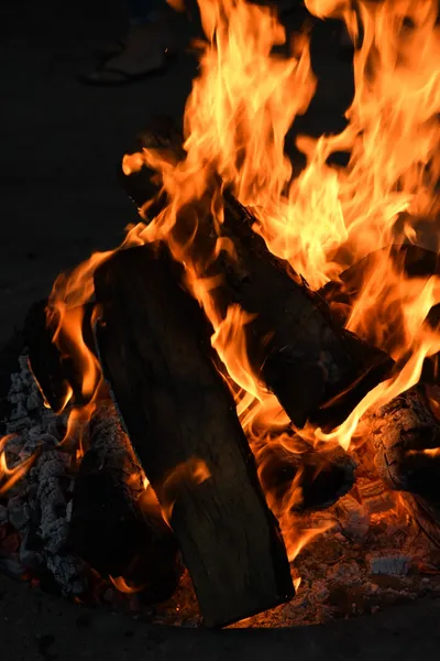 DSC_4150 (Large).JPG